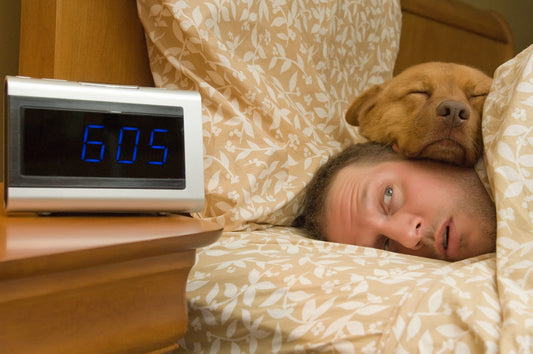 What Successful Business Owners Do Differently Before 9AM