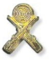 CROSSED RIFLES PIN