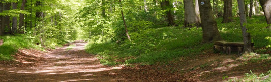 MRG Hauff Spring Road