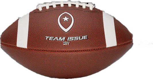 TEAM ISSUE LEATHER FOOTBALL YOUTH